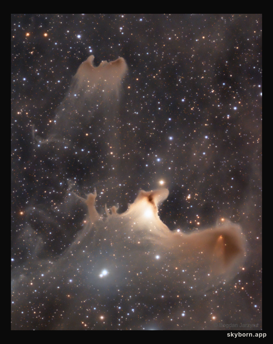 Reflections of the Ghost Nebula