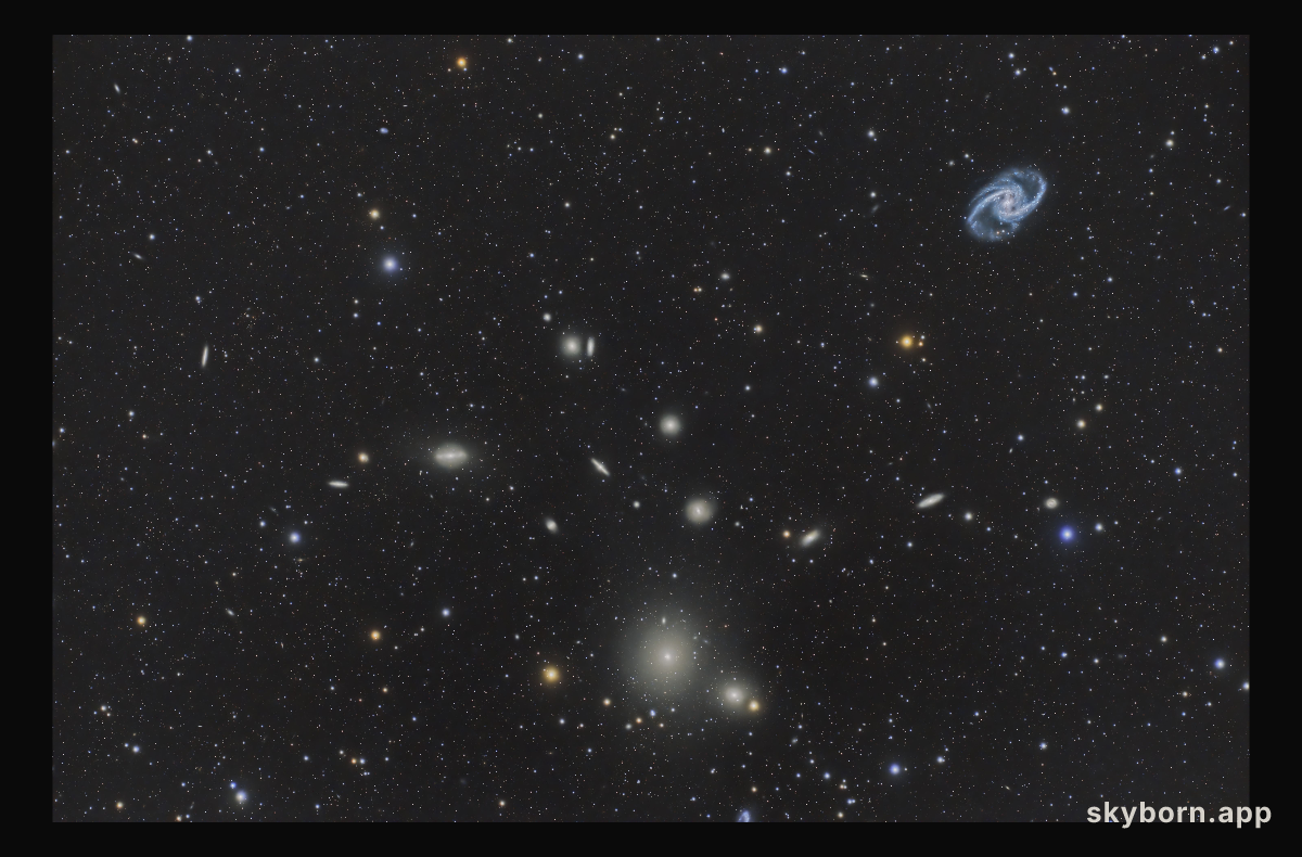 The Fornax Cluster of Galaxies