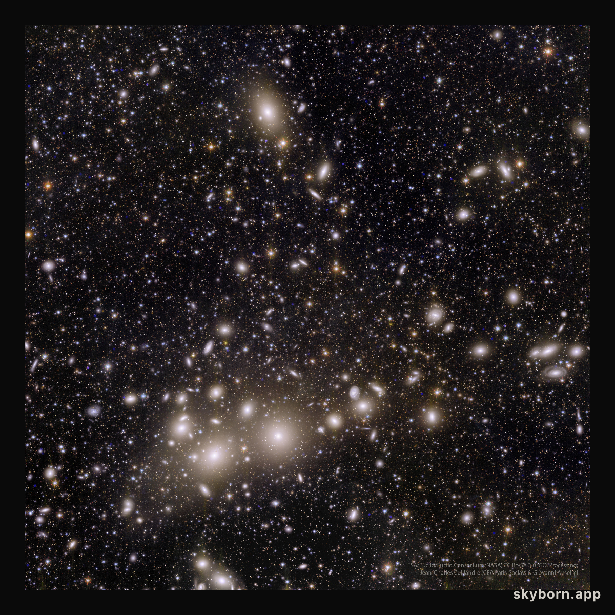 Perseus Galaxy Cluster from Euclid