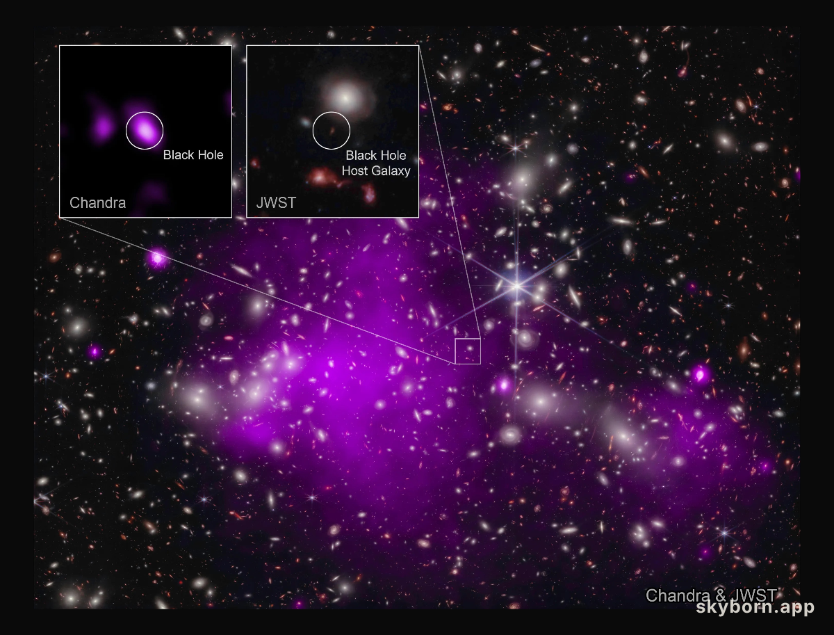 UHZ1: Distant Galaxy and Black Hole