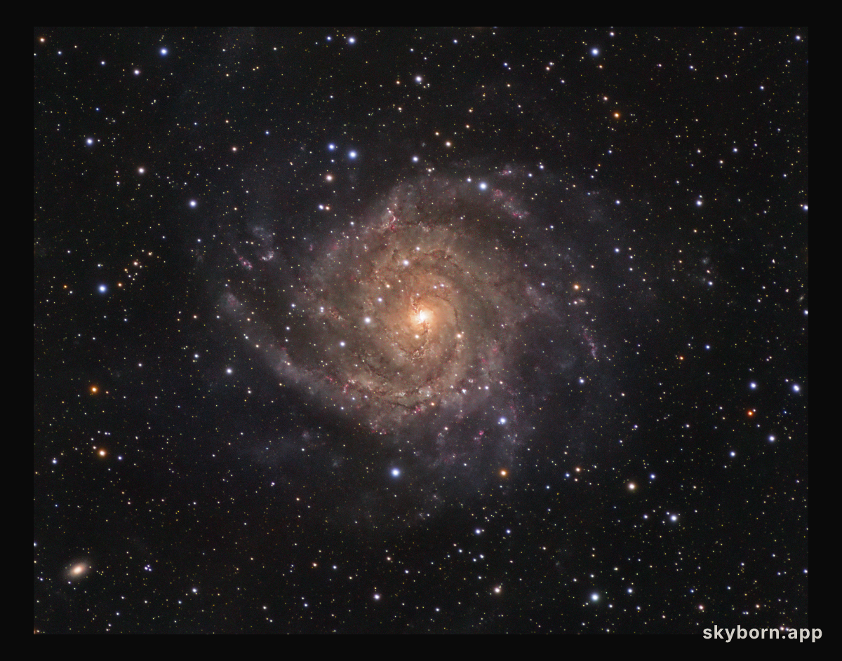 IC 342: Hidden Galaxy in Camelopardalis