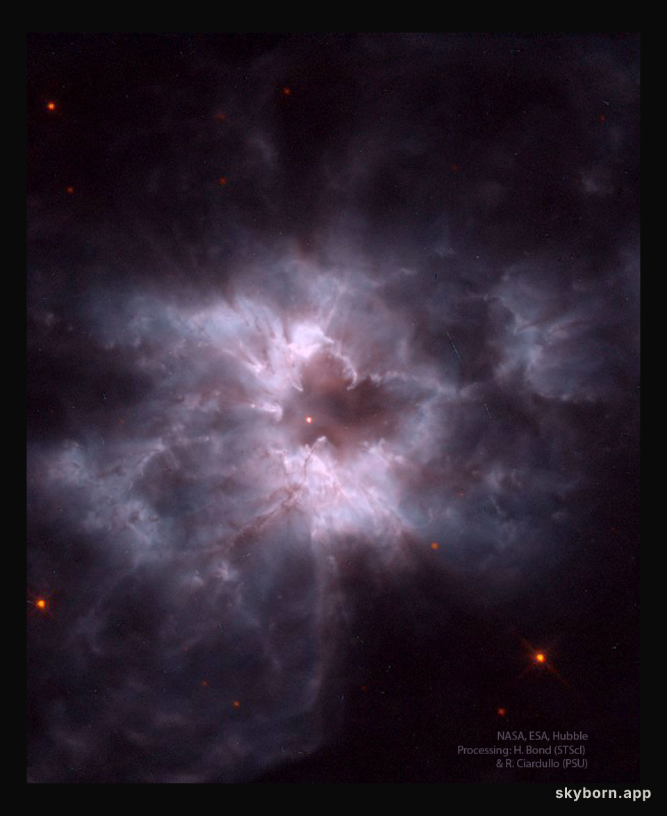 NGC 2440: Cocoon of a New White Dwarf