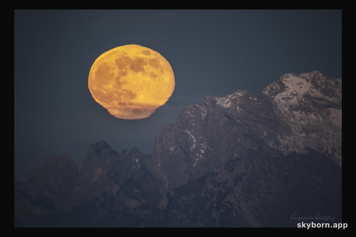 The Persistence of Moonlight