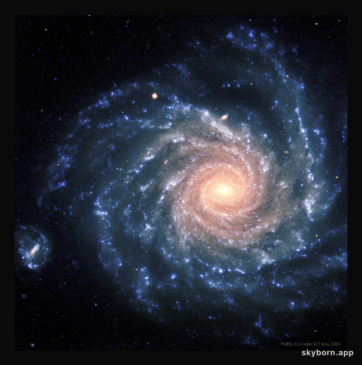 NGC 1232: A Grand Design Spiral Galaxy