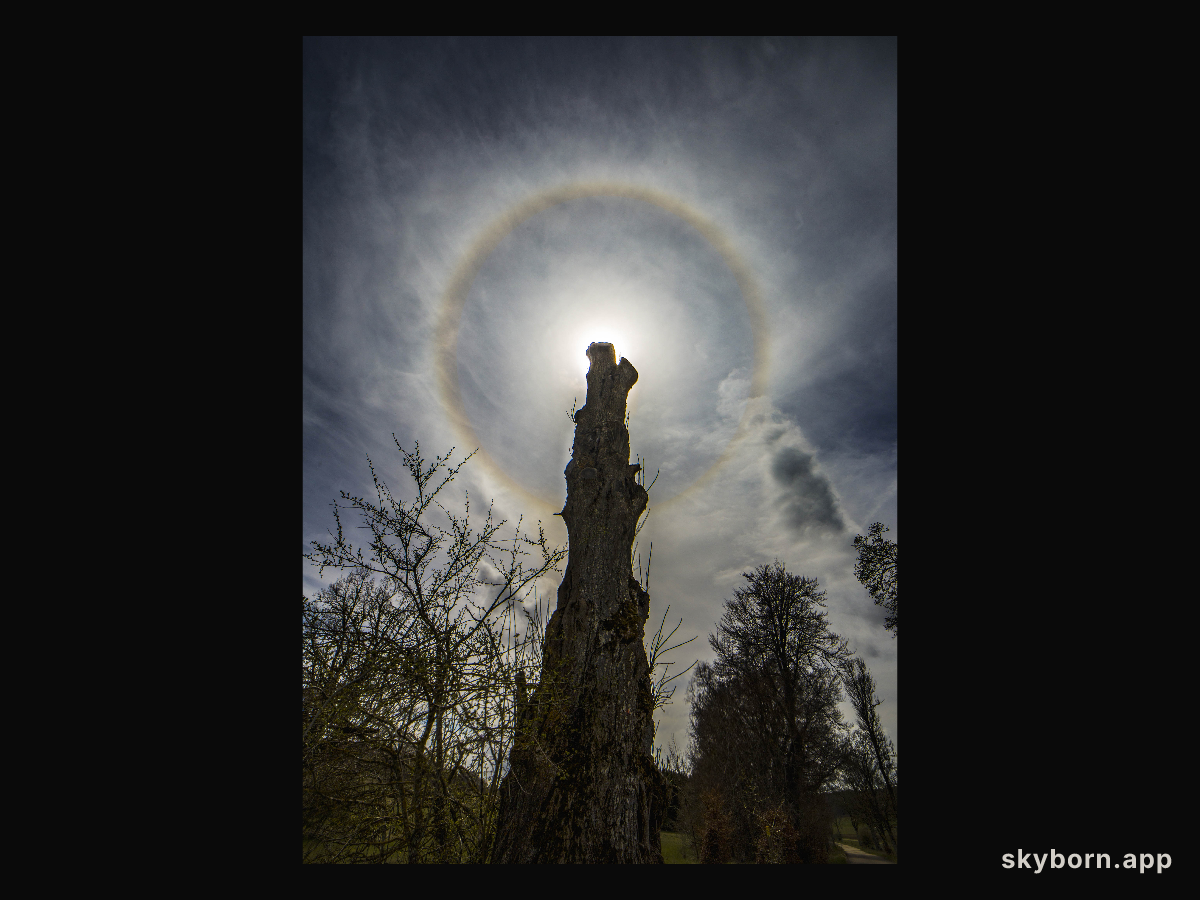 Circling the Sun