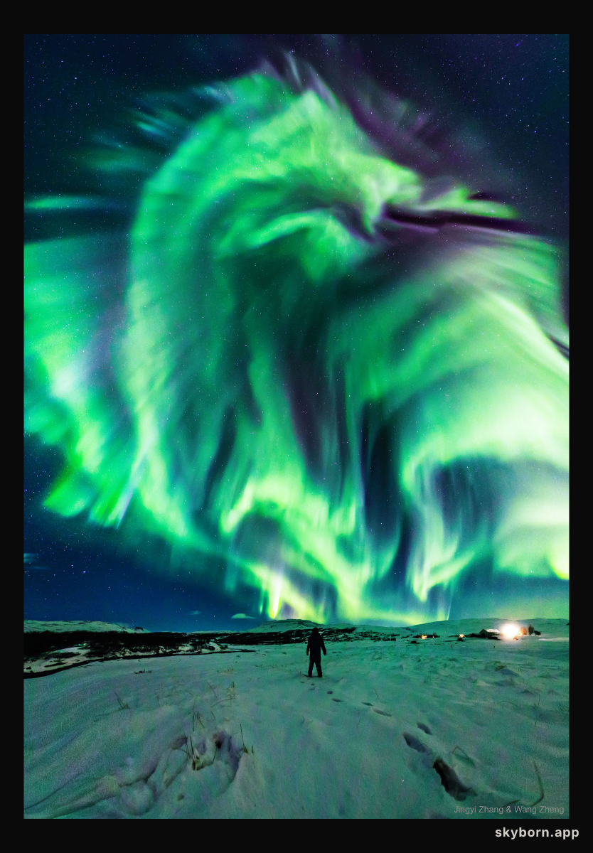Dragon Aurora over Iceland