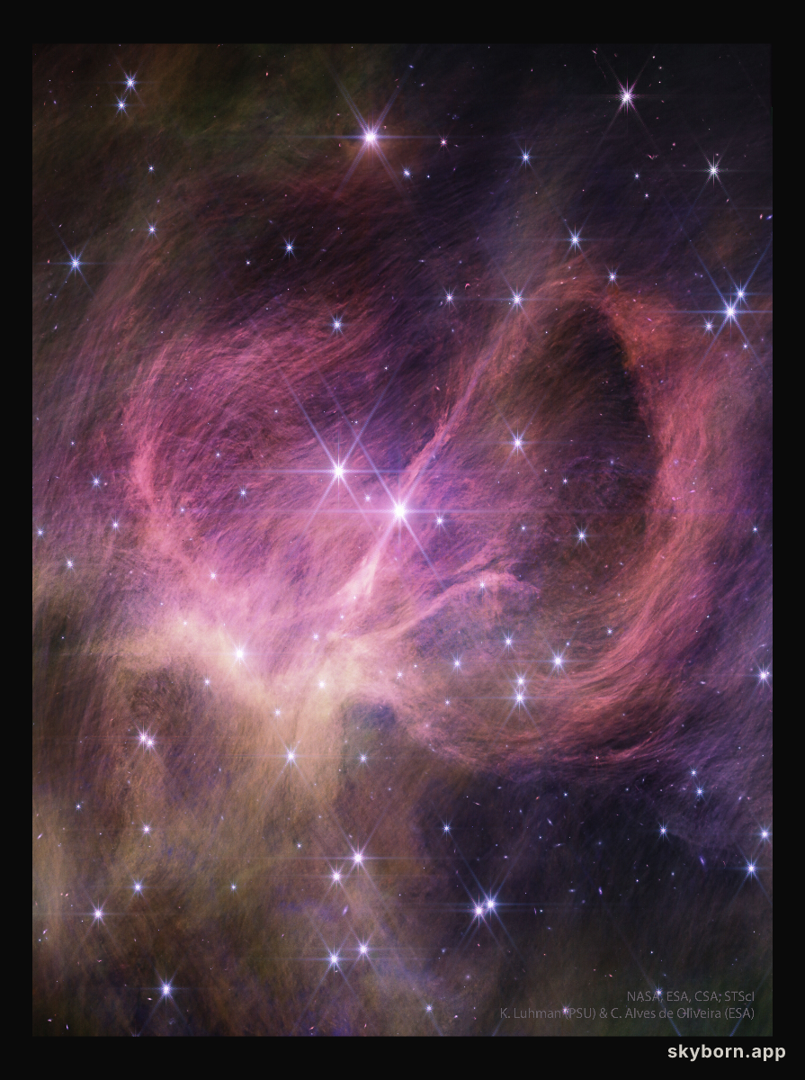 Star Cluster IC 348 from Webb