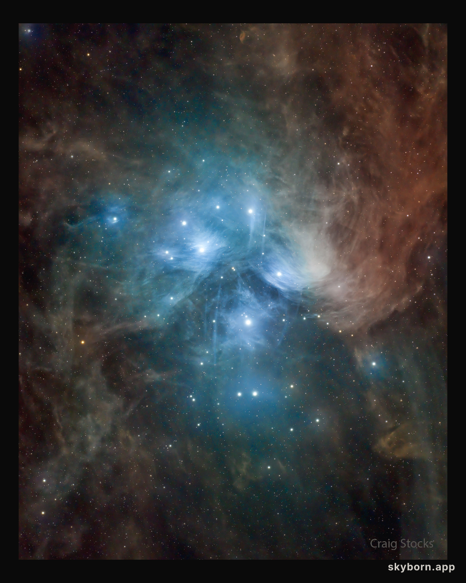 The Pleiades: Seven Dusty Sisters