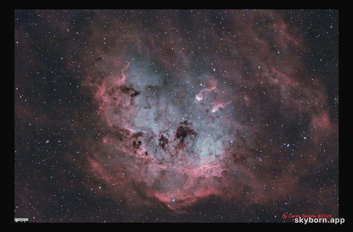 NGC 1893 and the Tadpoles of IC 410