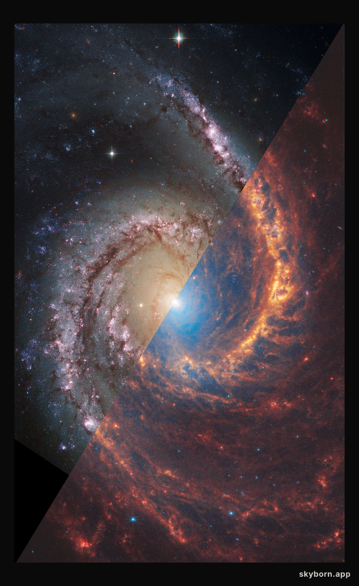 NGC 1566: A Spiral Galaxy from Webb and Hubble