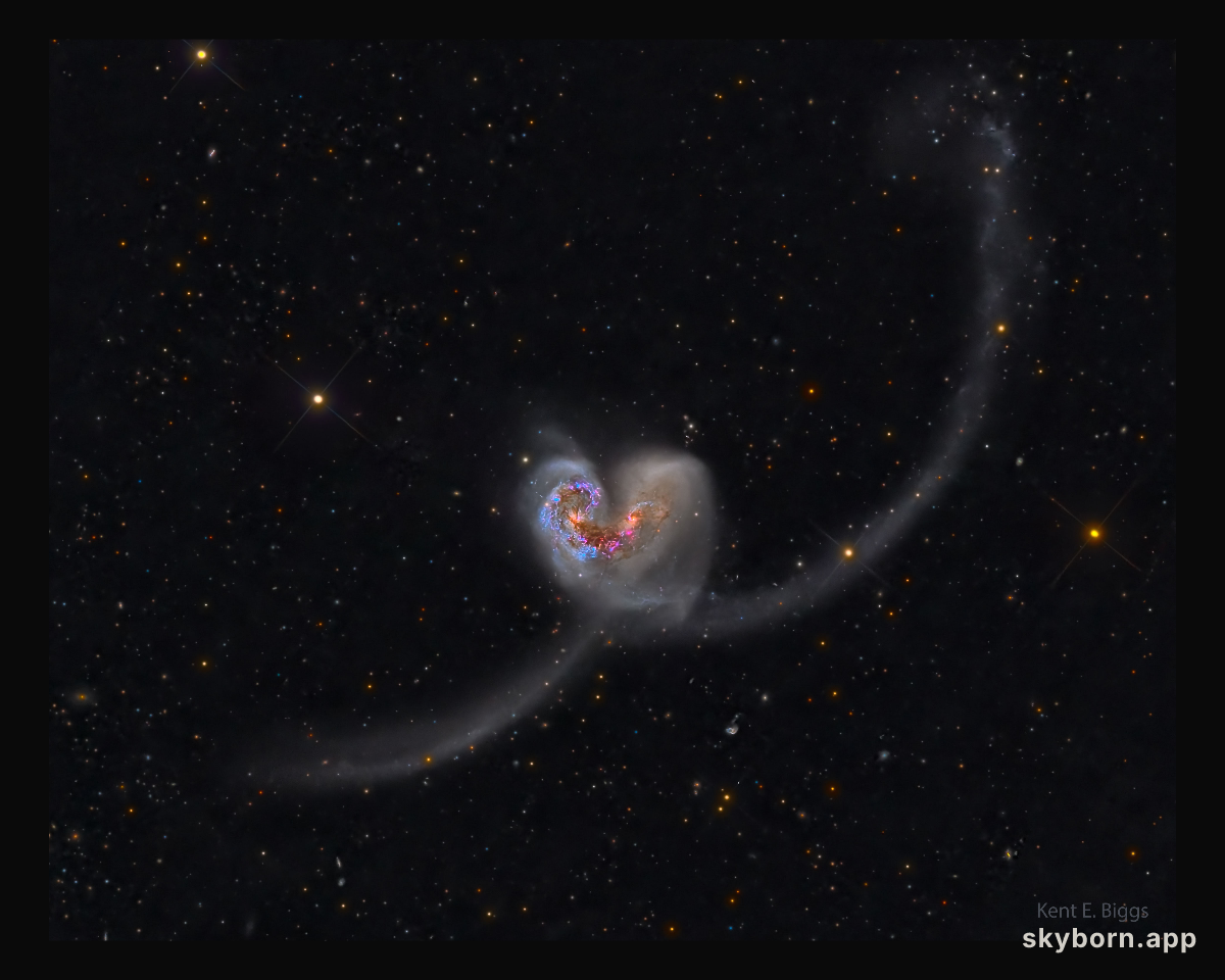 The Heart Shaped Antennae Galaxies