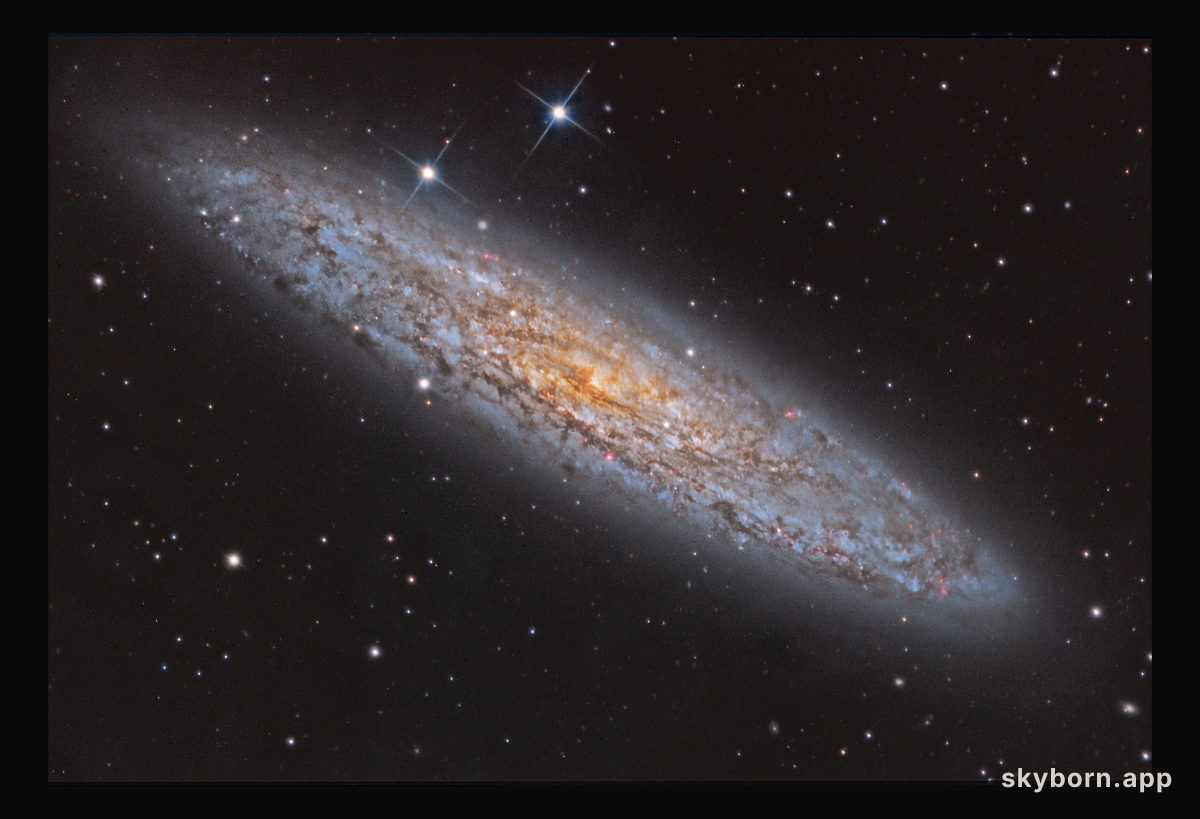 NGC 253: Dusty Island Universe
