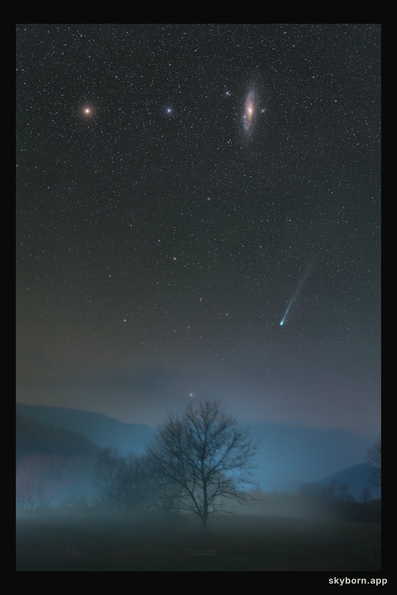 Comet Pons-Brooks in Northern Spring
