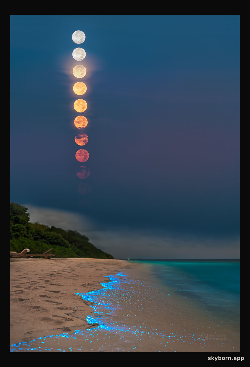 A Full Plankton Moon