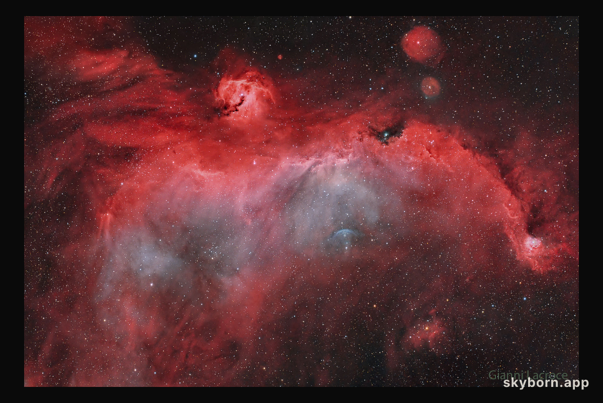 The Seagull Nebula