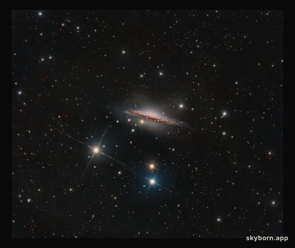 Portrait of NGC 1055