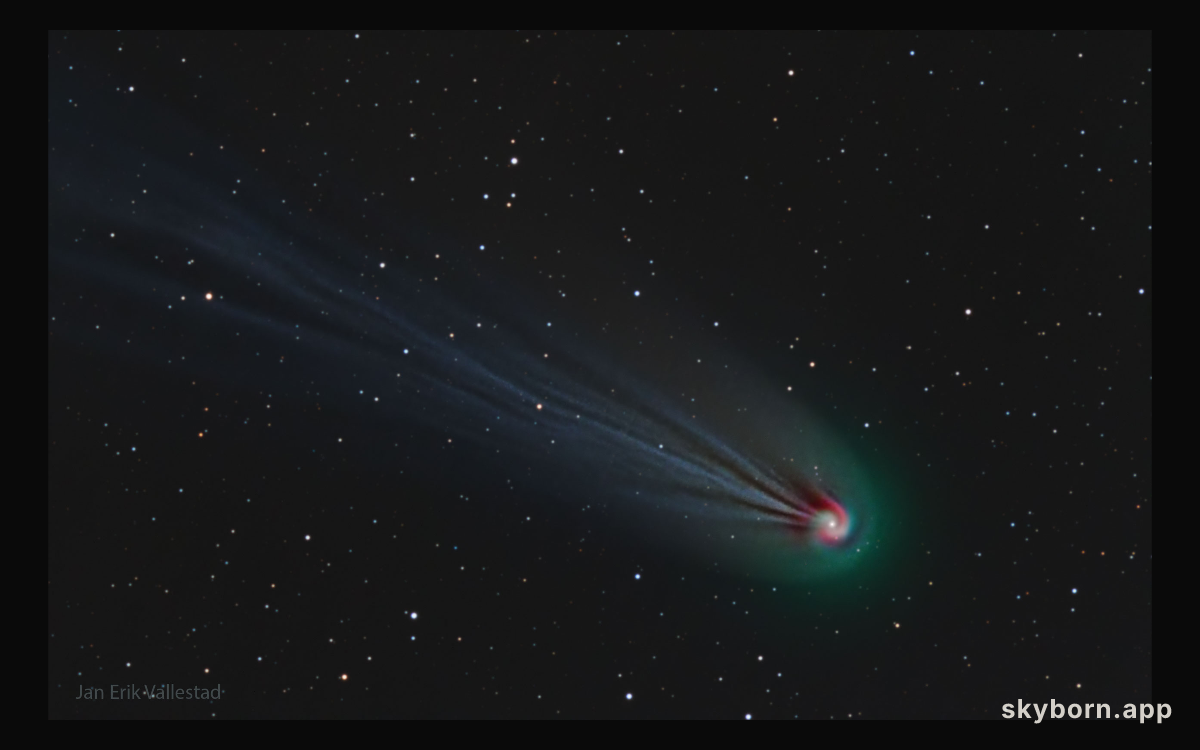 Comet Pons-Brooks' Swirling Coma