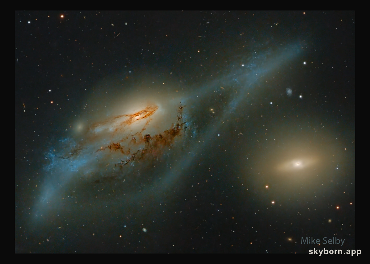 The Eyes in Markarian's Galaxy Chain