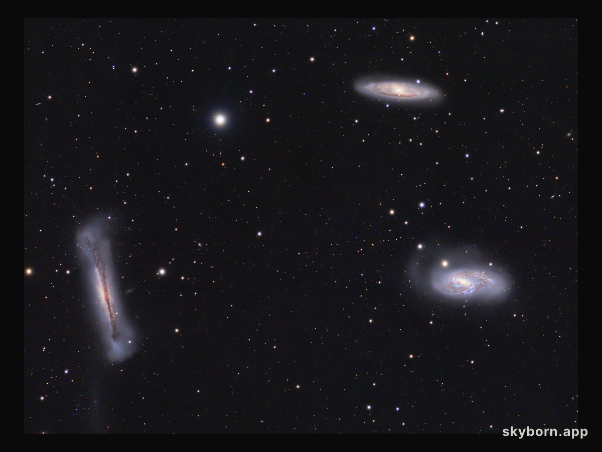 The Leo Trio