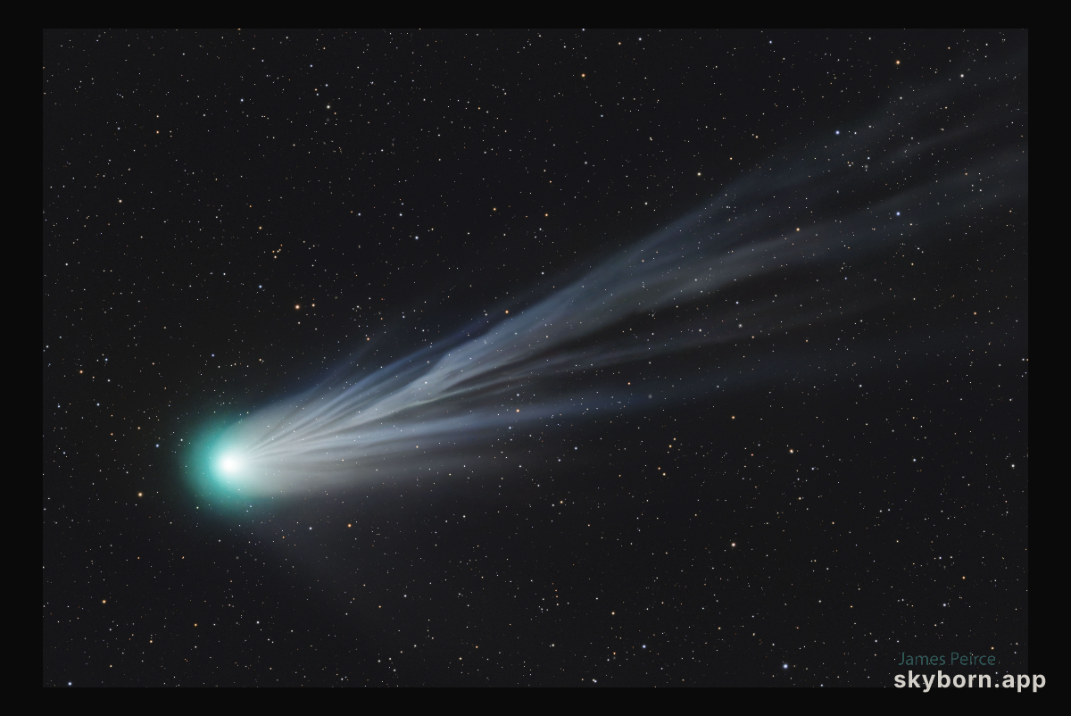 Comet Pons-Brooks' Ion Tail