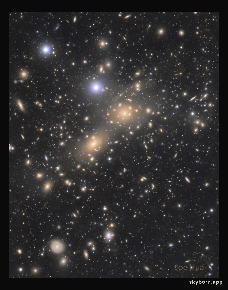 The Coma Cluster of Galaxies