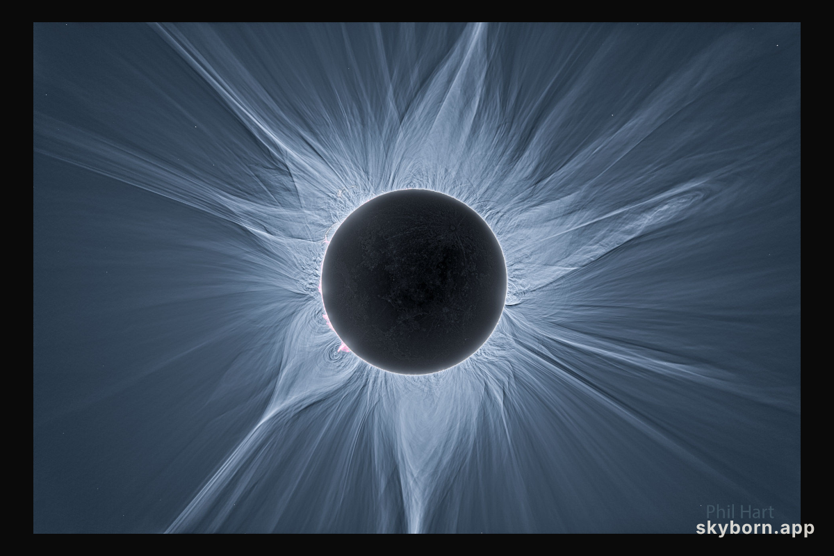 Detailed View of a Solar Eclipse Corona
