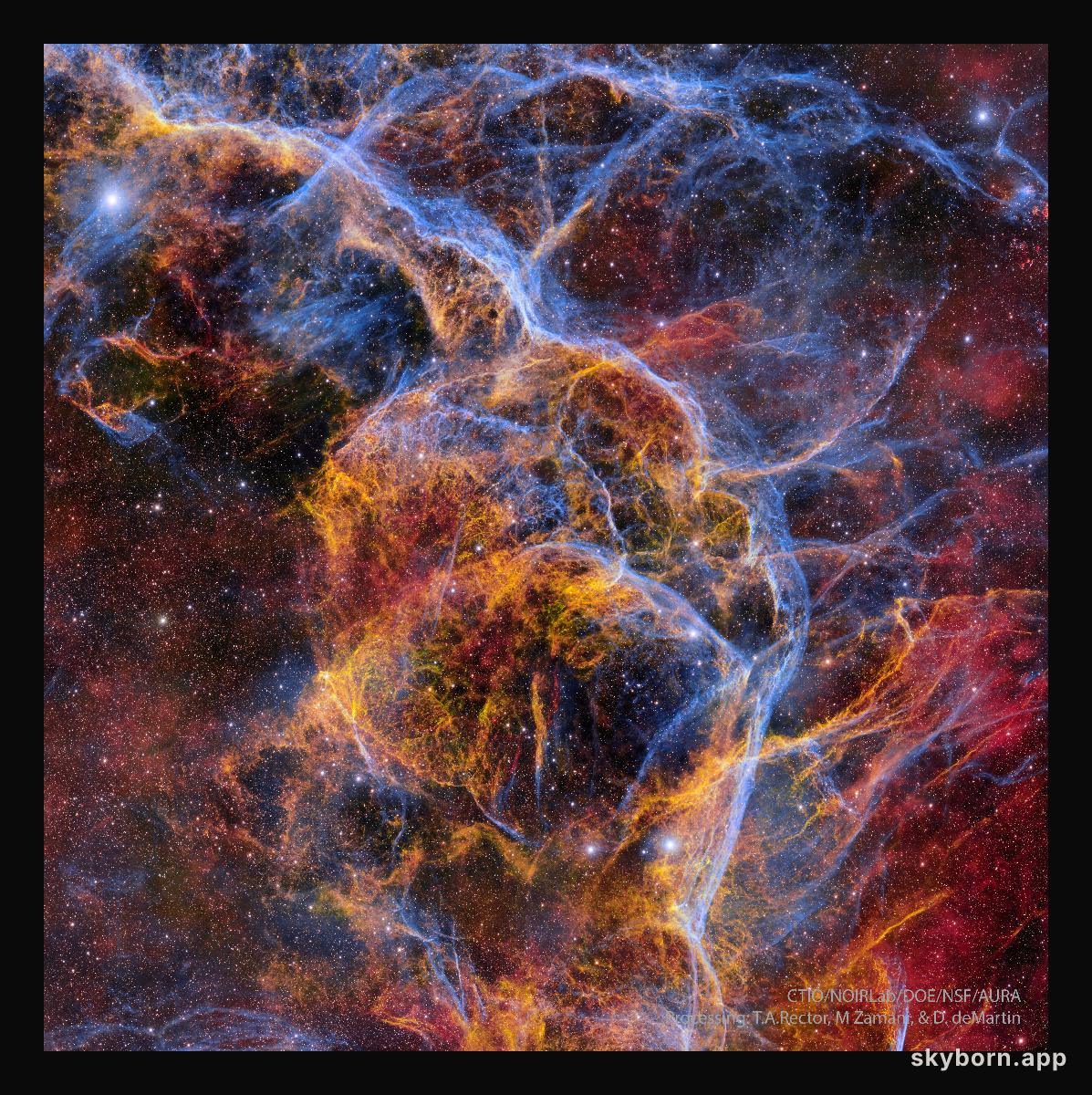 Filaments of the Vela Supernova Remnant