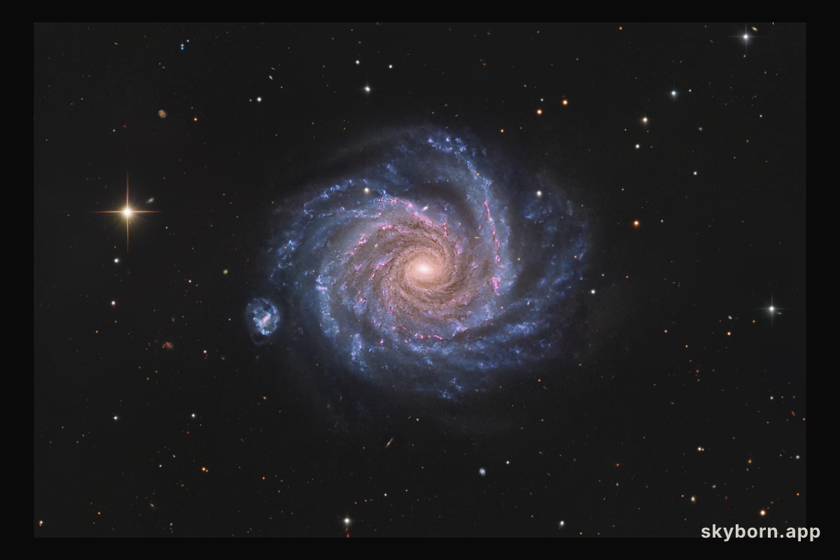 Facing NGC 1232