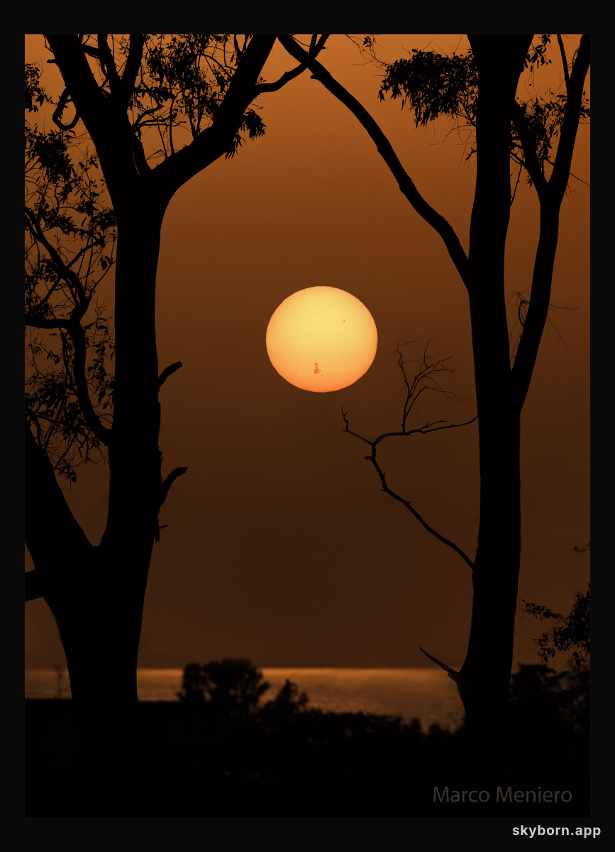 AR 3664 on a Setting Sun