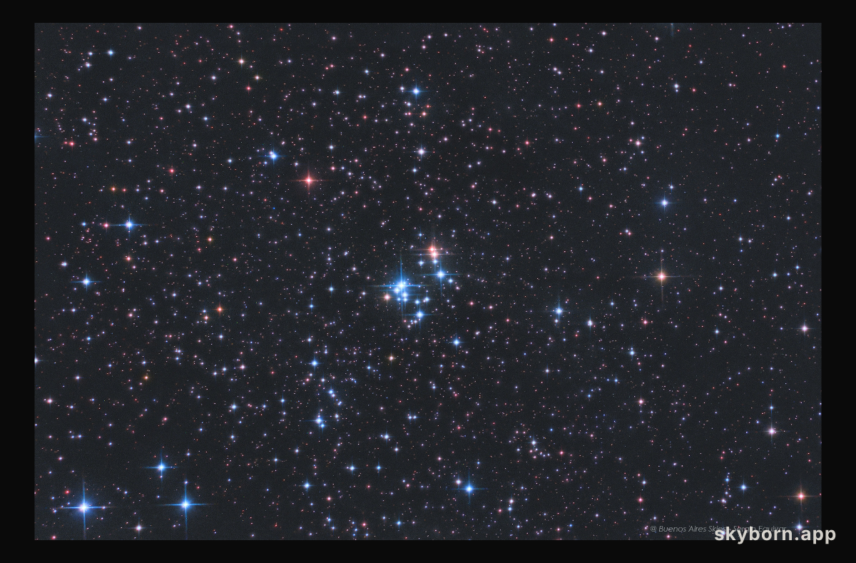 The 37 Cluster