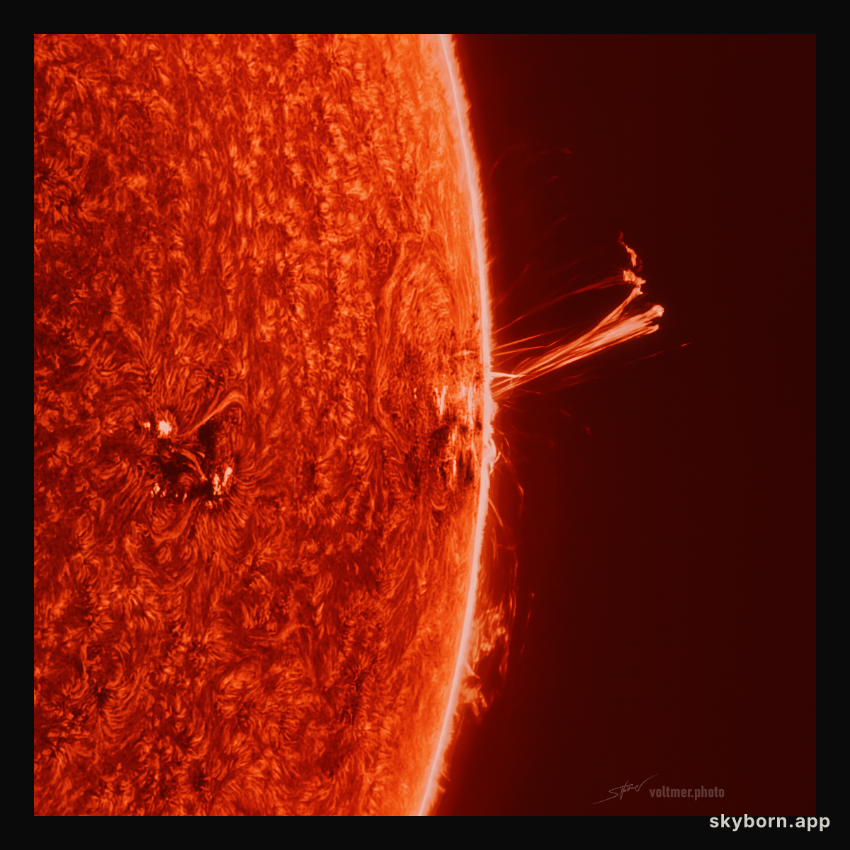 AR 3664 at the Sun's Edge