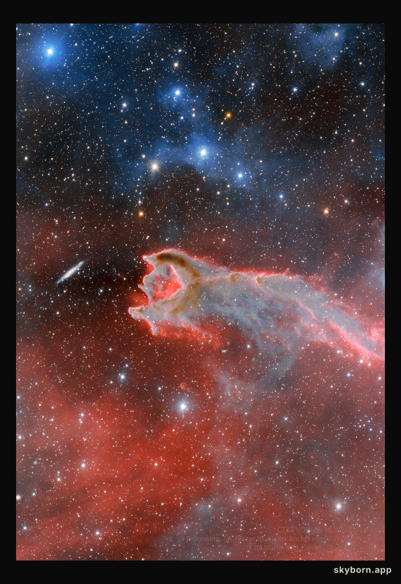 CG4: The Globule and the Galaxy