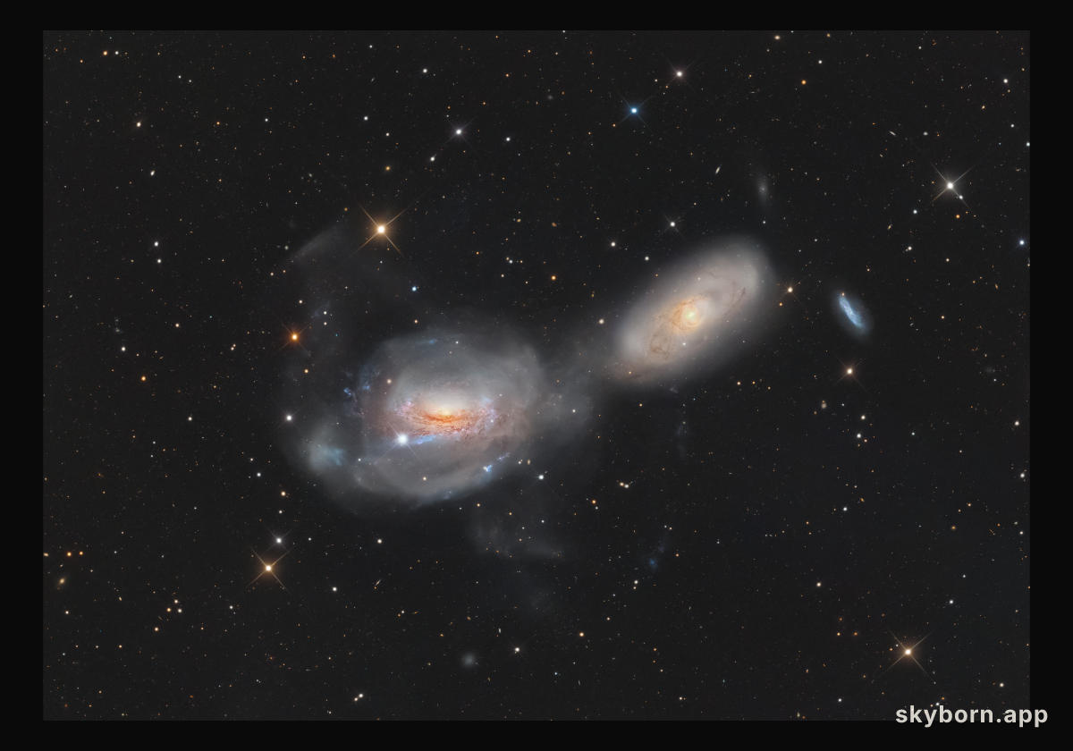 Unraveling NGC 3169