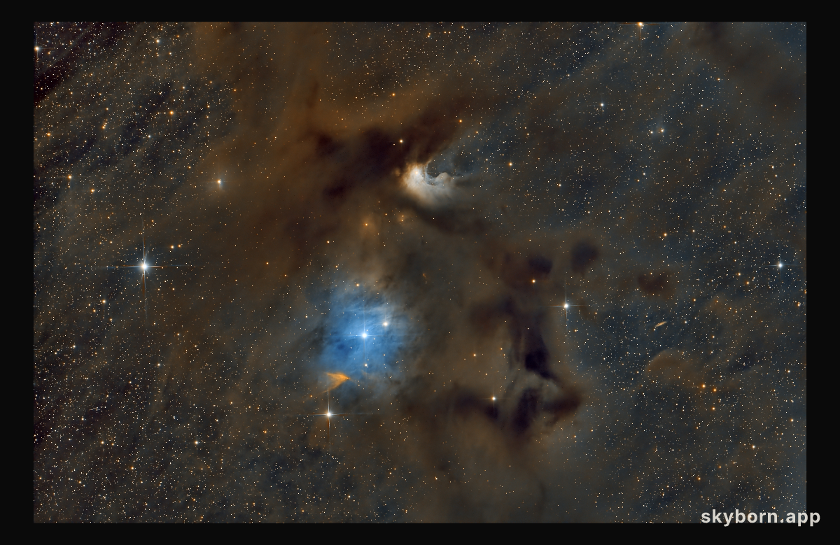 Chamaeleon I Molecular Cloud