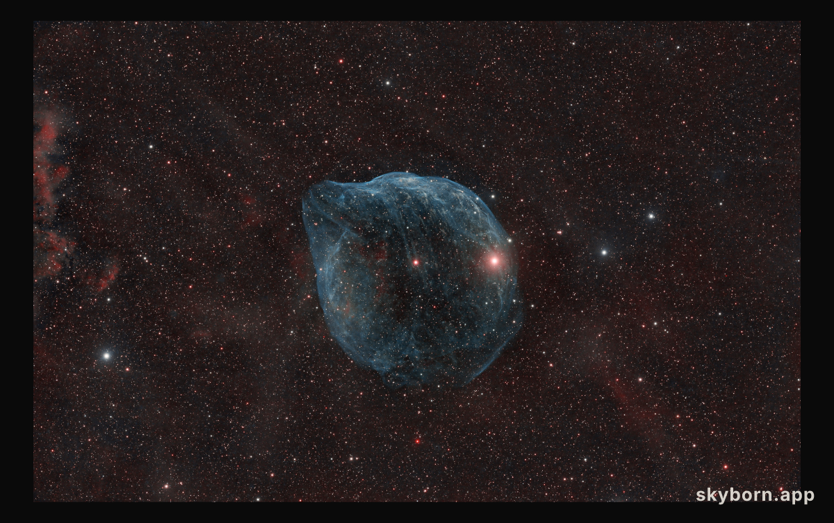 SH2-308: The Dolphin Head Nebula