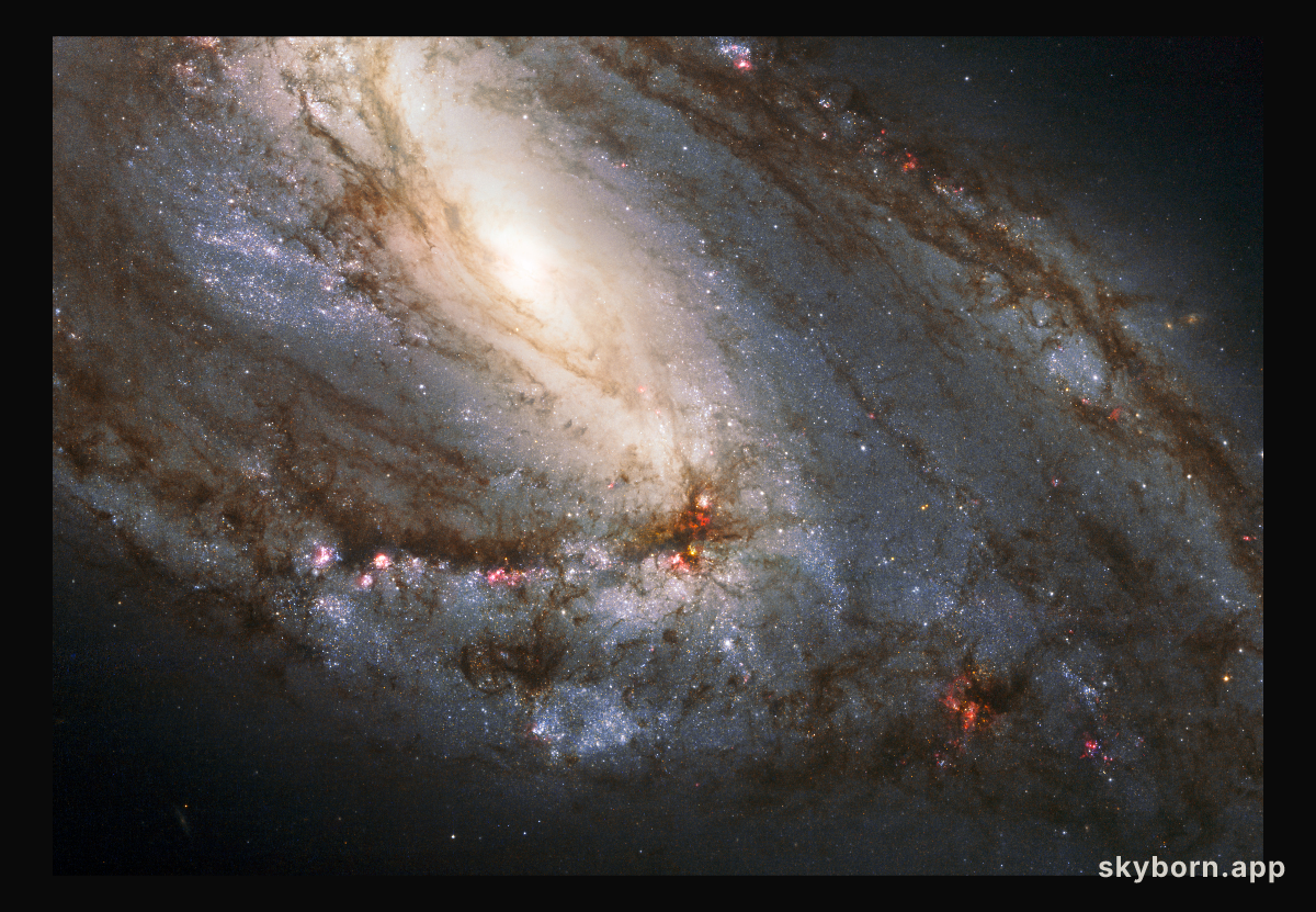 Messier 66 Close Up