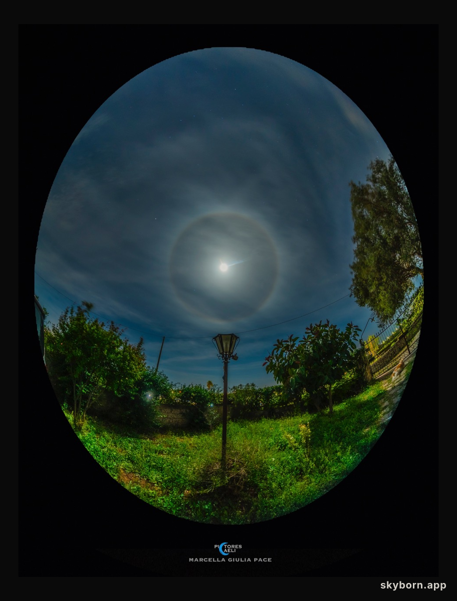 Sandy and the Moon Halo