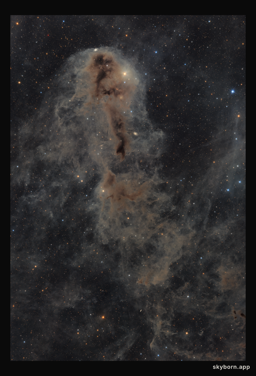 Lynds Dark Nebula 1251