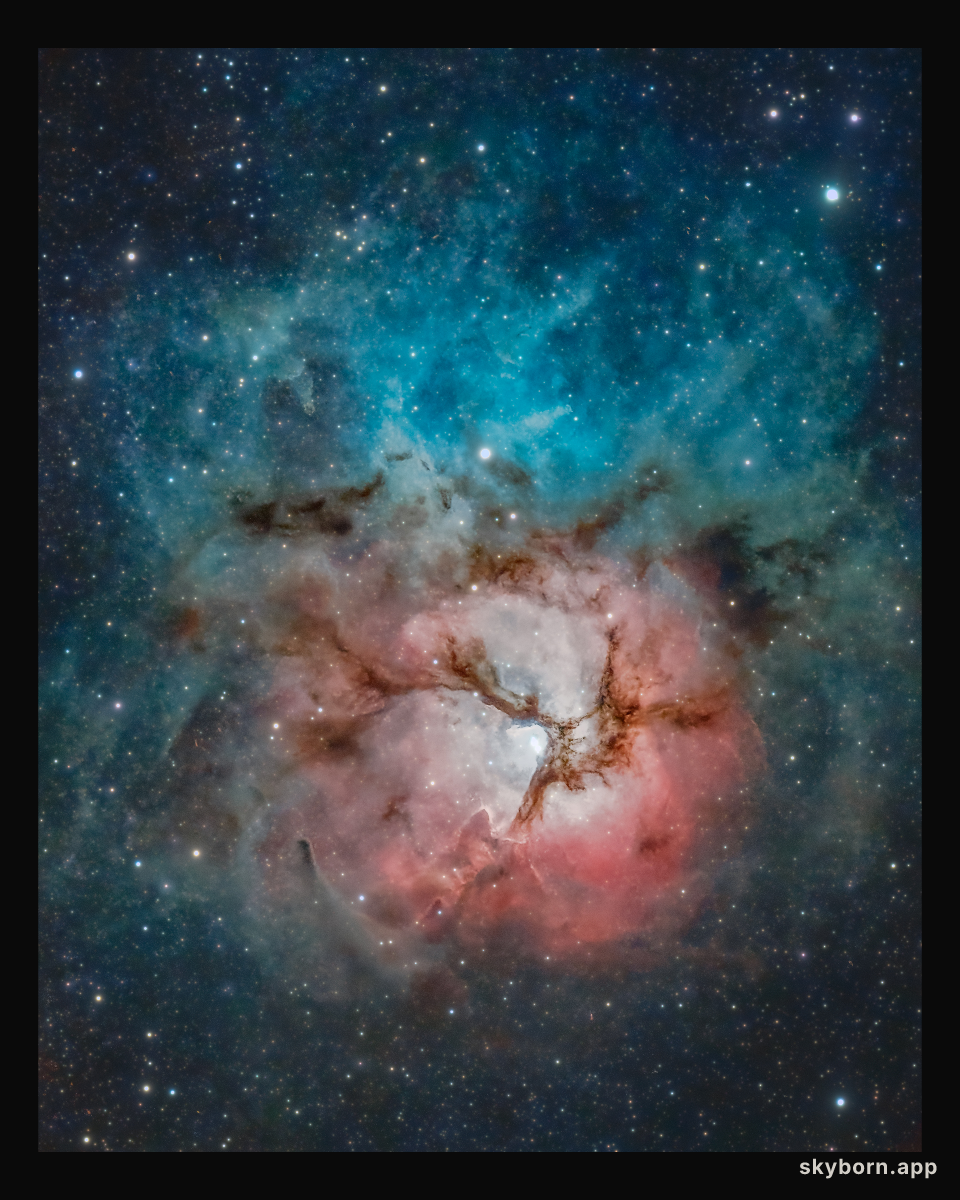 A Beautiful Trifid