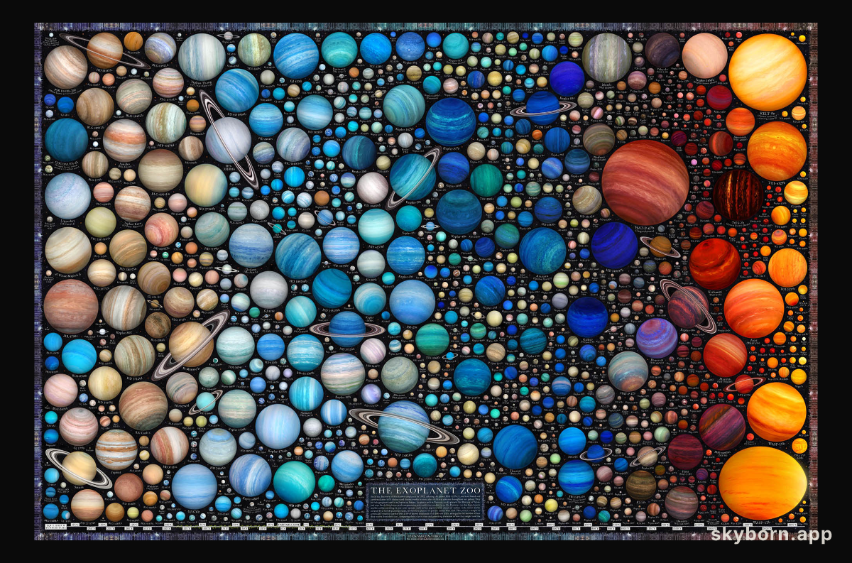 Exoplanet Zoo: Other Stars