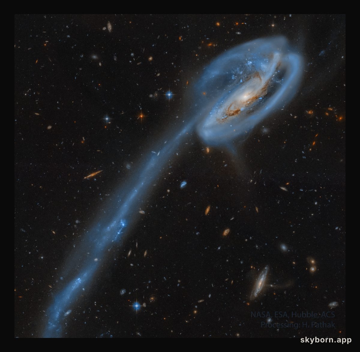 The Tadpole Galaxy from Hubble