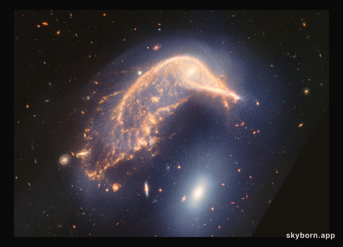 Arp 142: Interacting Galaxies from Webb