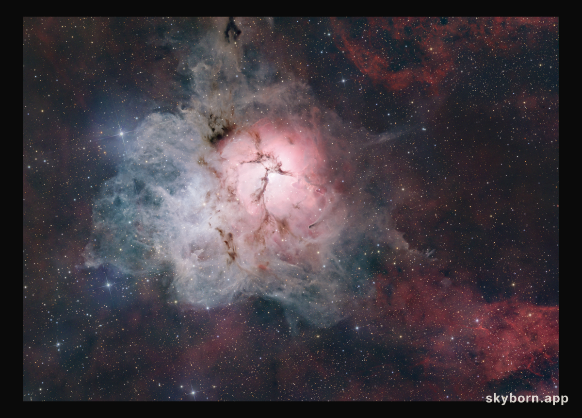 The Light, Dark, and Dusty Trifid