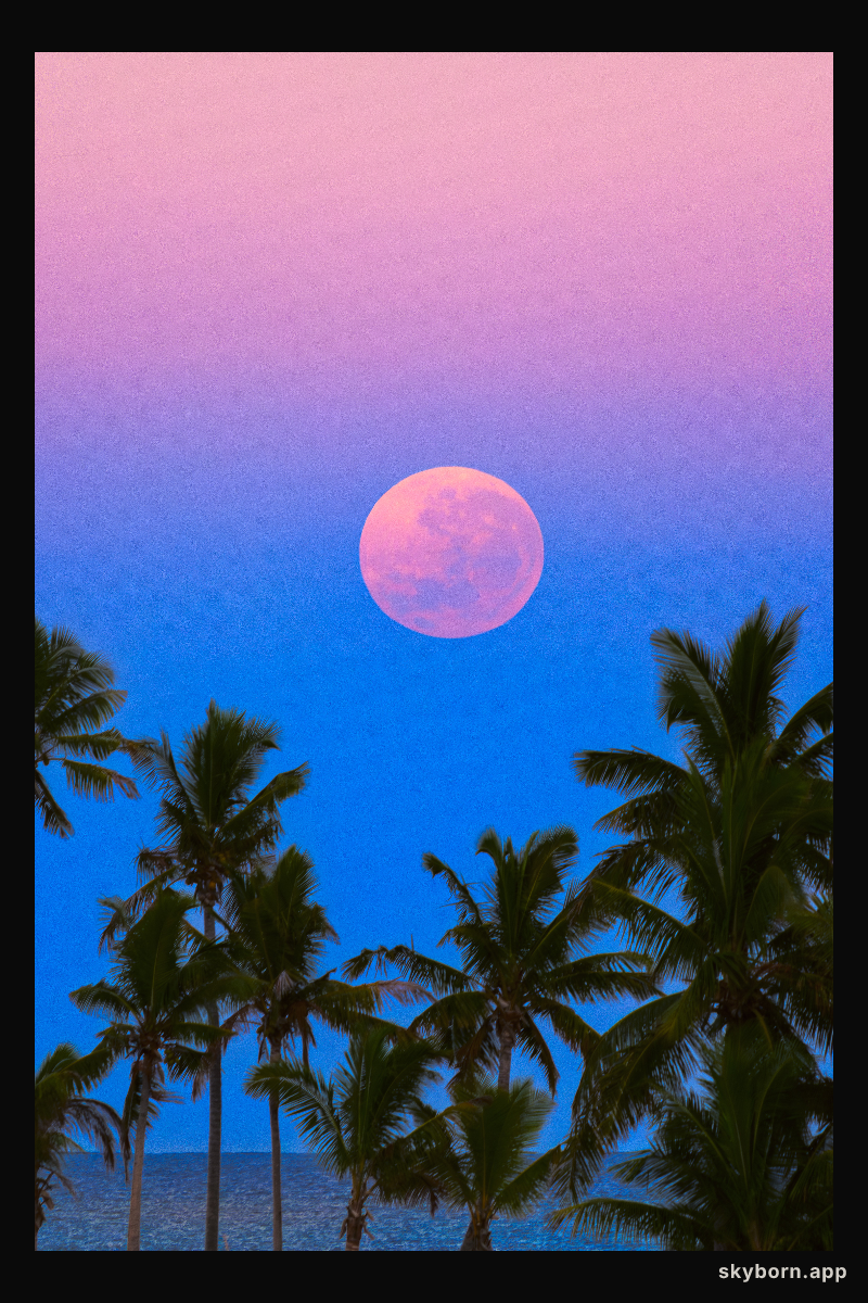 South Pacific Shadowset