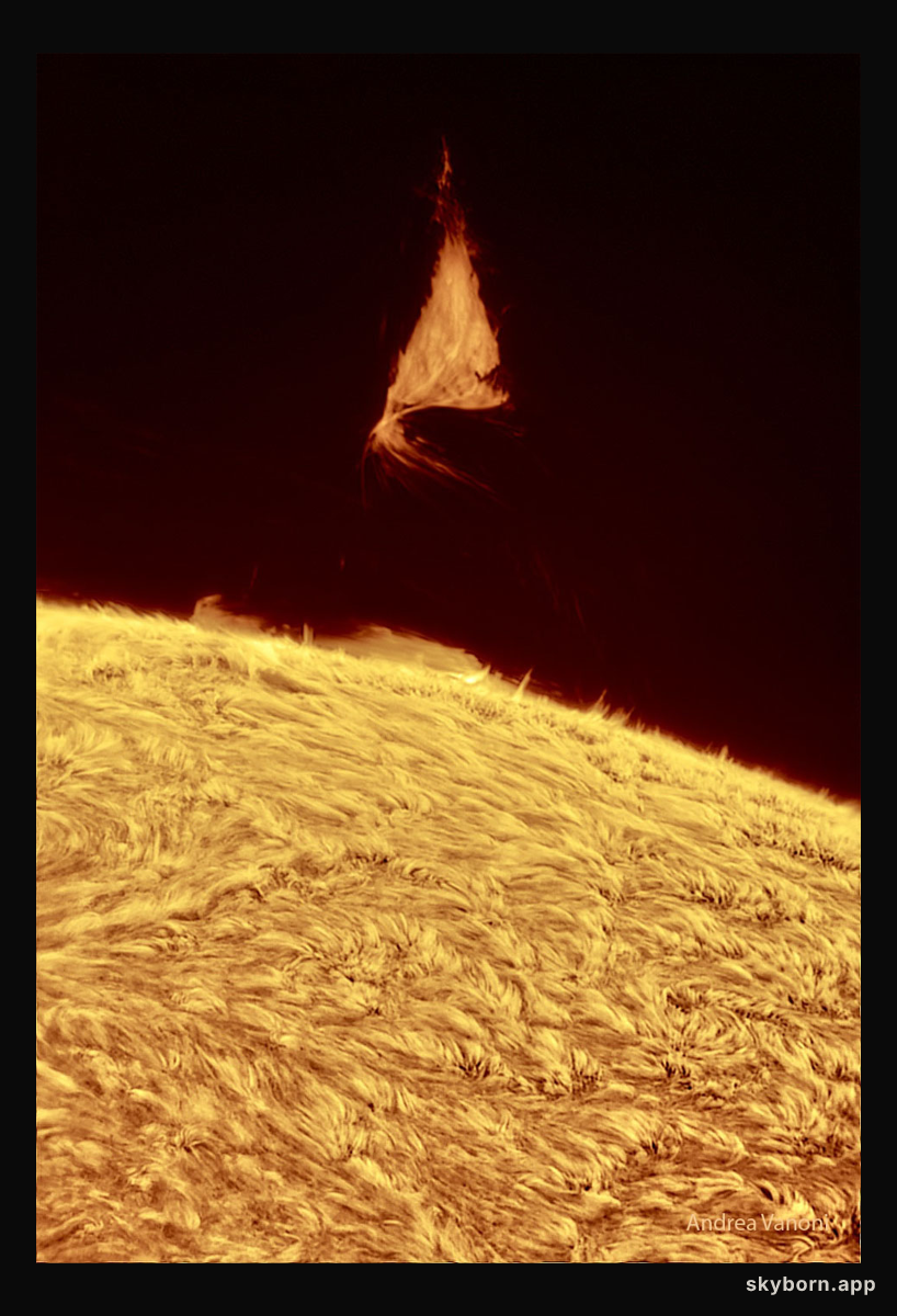 A Triangular Prominence Hovers Over the Sun