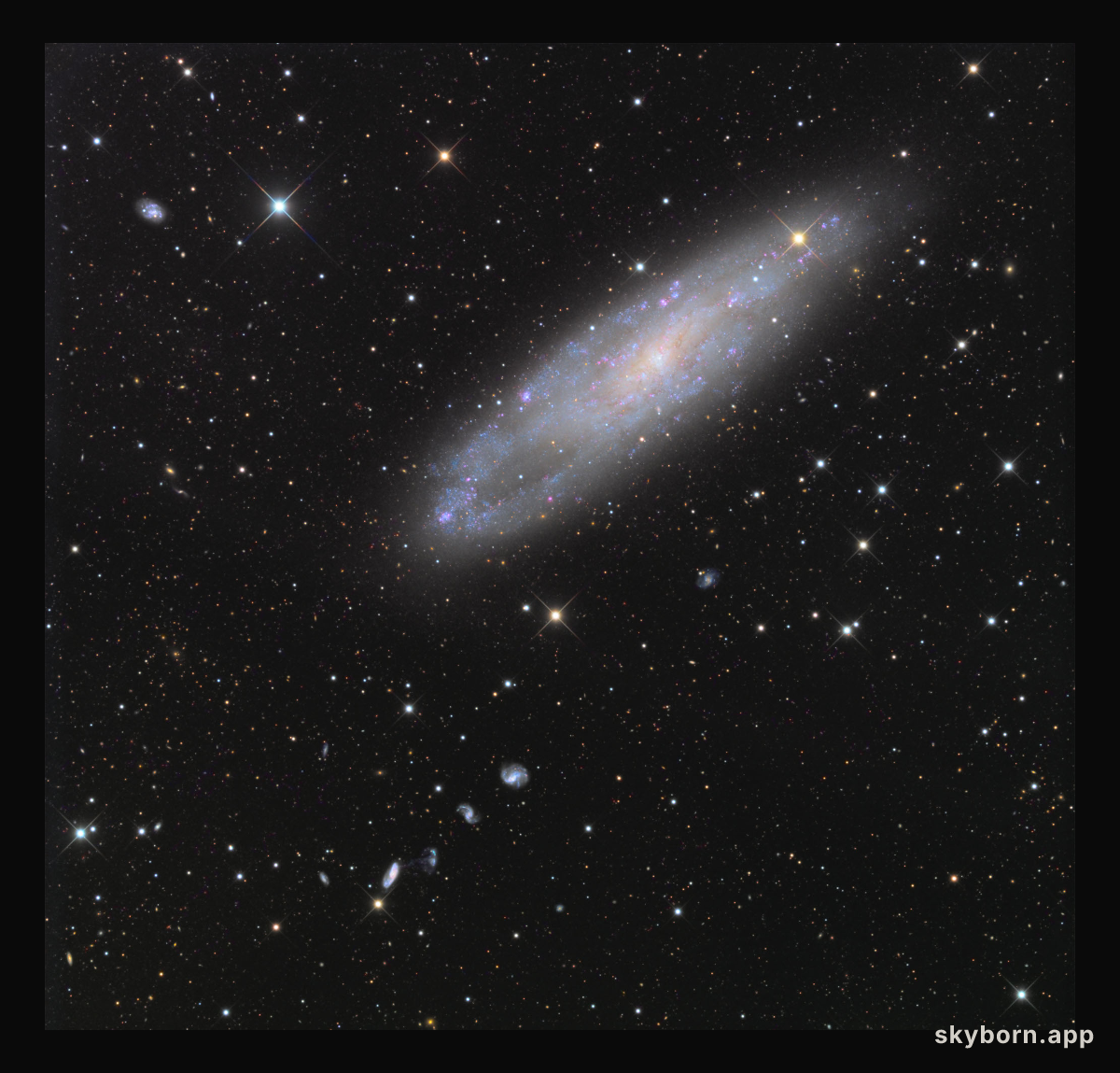 NGC 247 and Friends
