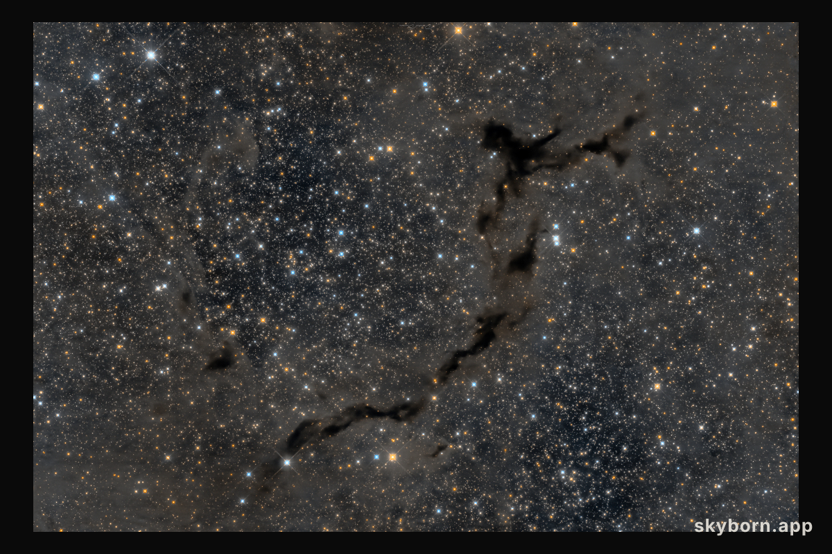 The Dark Seahorse of Cepheus