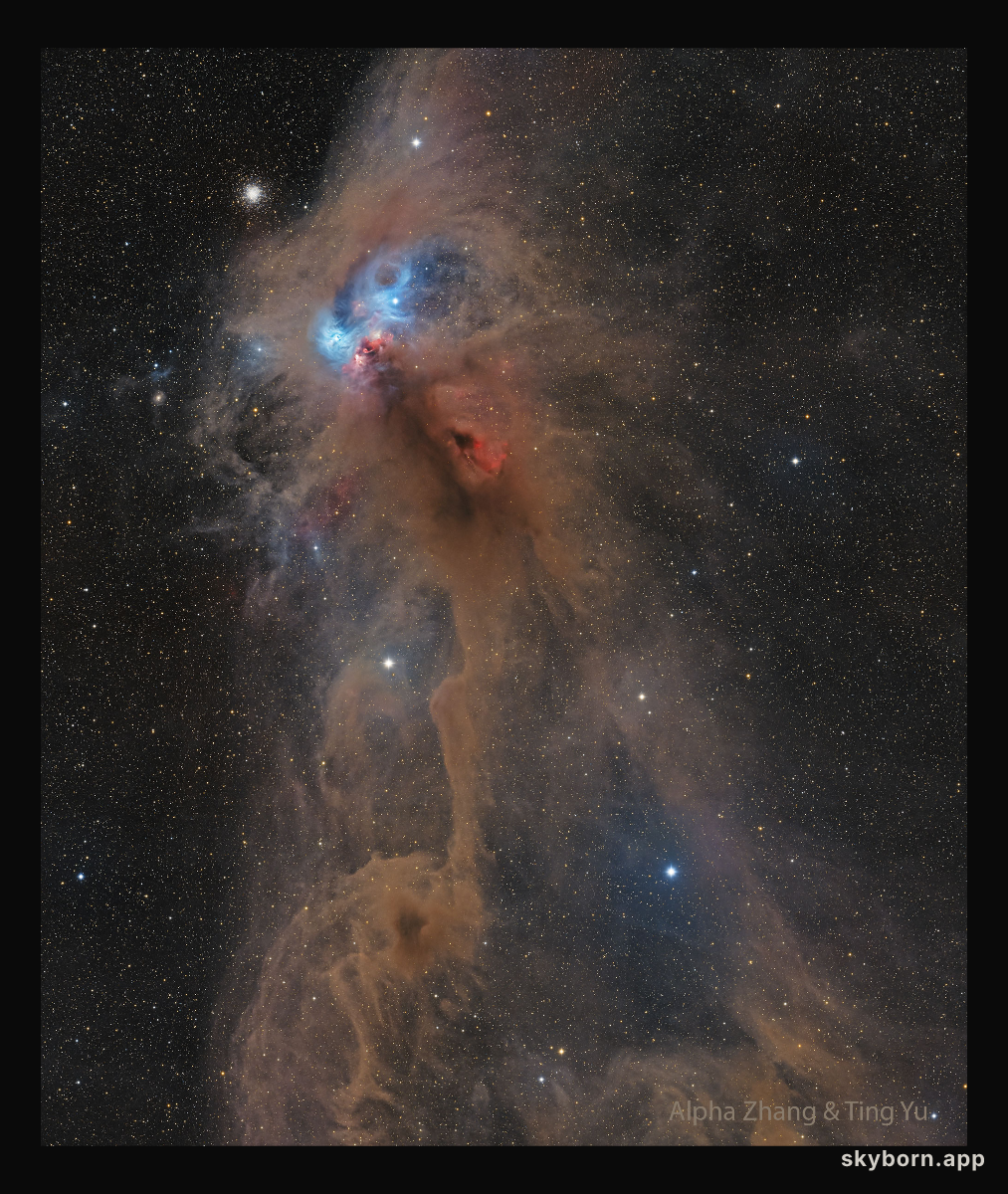 NGC 6727: The Rampaging Baboon Nebula