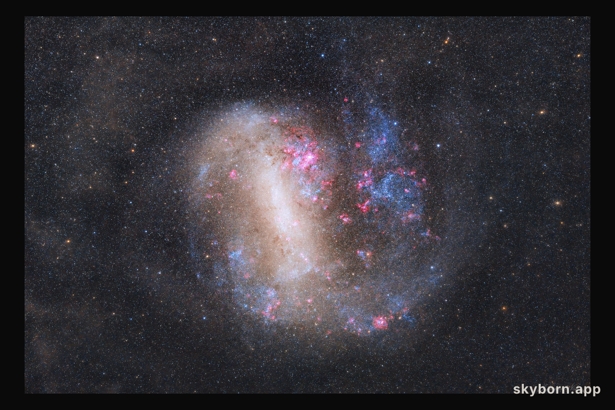 The Large Magellanic Cloud Galaxy