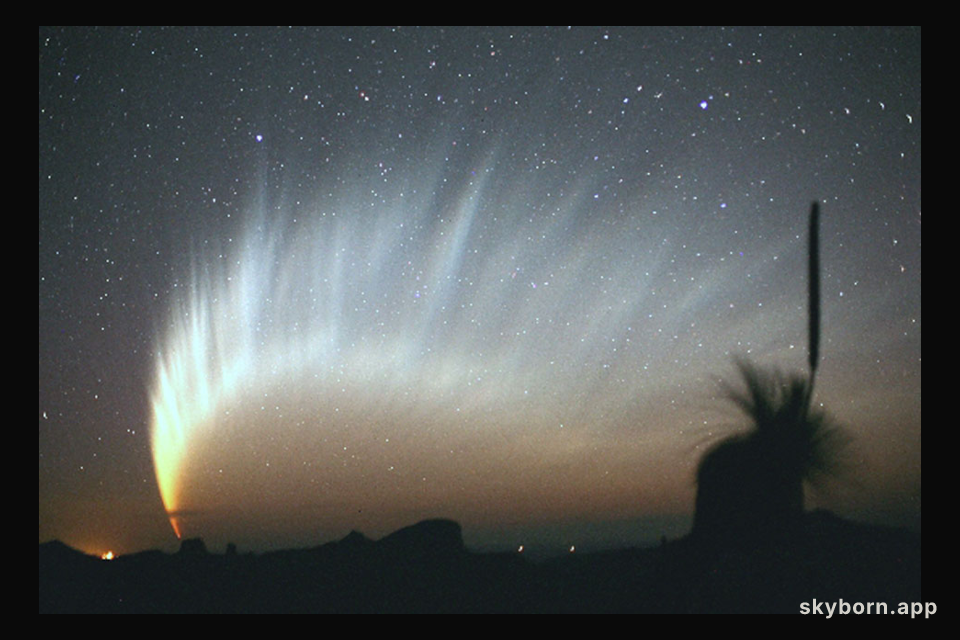 The Magnificent Tail of Comet McNaught